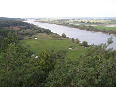 Große Exkursion Flusslandschaft Elbe